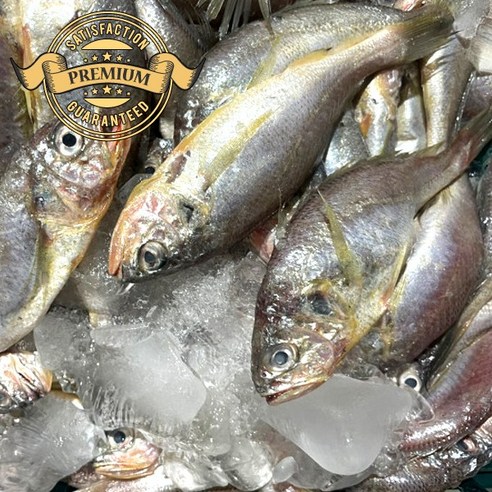 군산 참조기로 식탁을 풍요롭게!