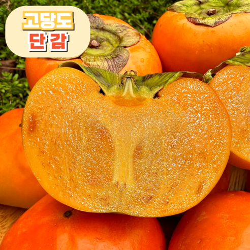 [고당도] 가을제철 단감 농장직송, 1개, 대과 5kg (21-23과 내외)