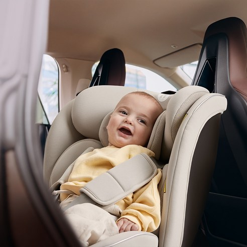 밤잠 설쳐가며 고른 내 아기의 첫 카시트, 니스툴그로우 포르테360 솔직 후기 니스툴그로우카시트