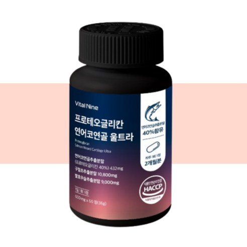 프로테오클리칸 프리테오글리칸 proteoglycan