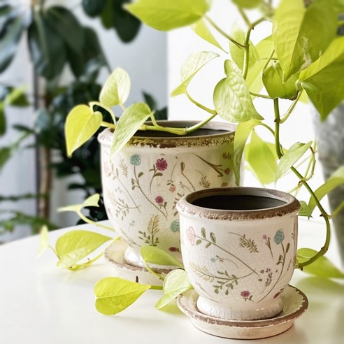 자곡갤러리 빈티지 보타닉 패턴 팟, 당신의 공간을 한층 아름답게 빈티지화분