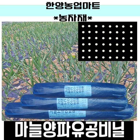 농자재-양파마늘유공비닐/양파비닐/마늘비닐/농업용유공멀칭비닐/텃밭/흑색/비니루, 0.015X120X200흑10구(마늘용외), 1개