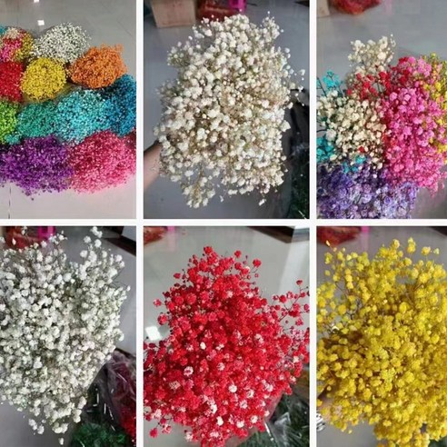 영원한 아름다움의 선물: 네 다발영생만천성 드라이플라워