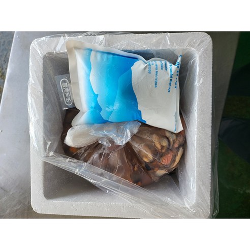 신선하고 맛있는 국산 손질 세척 제철 깐홍합살로 든든한 홍합탕을 즐기세요
