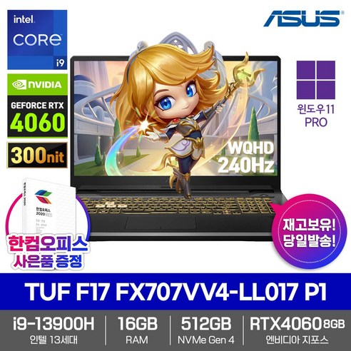 ASUS 2023 TUF F17 FX707VV4-LL017 P1 인텔 13세대 i9-13900H RTX4060 윈도우11프로 16GB 512GB QHD 240Hz 게이밍 노트북, WIN11 Pro DSP, 코어i9, 그레이