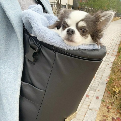 로맨스독 무지 심플 반려 동물 백팩, 블랙