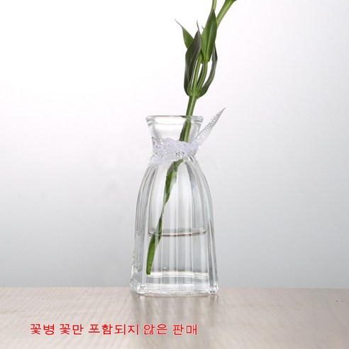 MEIISEO가정용 북유럽 스타일 투명 유리꽃병 수경 유리화병 꽃병 도자기 화병, 5Squarebottom