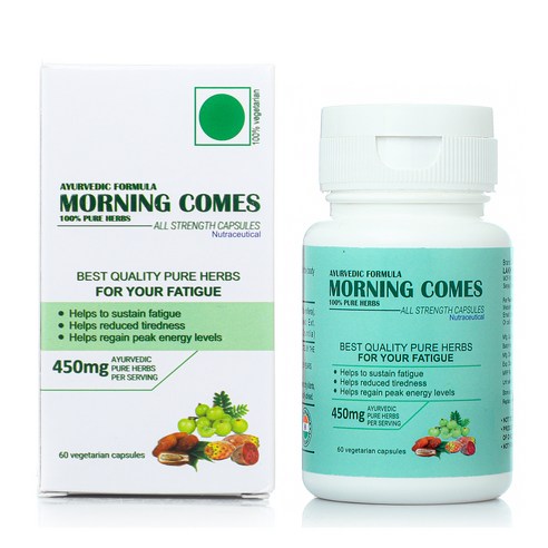 모닝컴스 포뮬러 피로회복 60capsules Morningcomes Fatigue, 6개, 60정