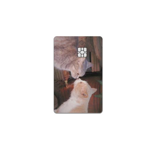 아르토르 Lovely friends 디자인 카드 스킨 리무버블 스티커, L 빅 칩
