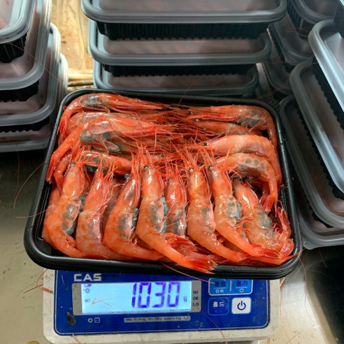 최고의 횟감과 요리에 신선한 바다의 맛을 선사하는 동해안 급냉 홍새우