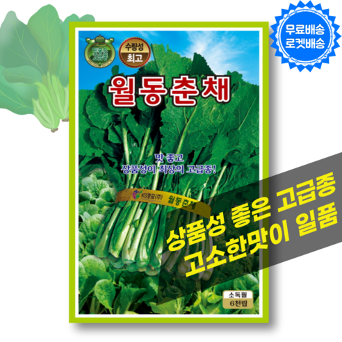 춘채 씨앗 (6000립) 월동 겨울 채소씨앗 유채나물 하루나 겨울초 종자, 1봉