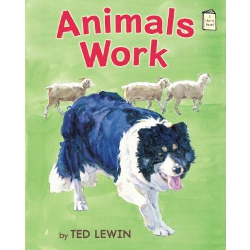 (영문도서) Animals Work Board Books, Holiday House, English, 9780823442775