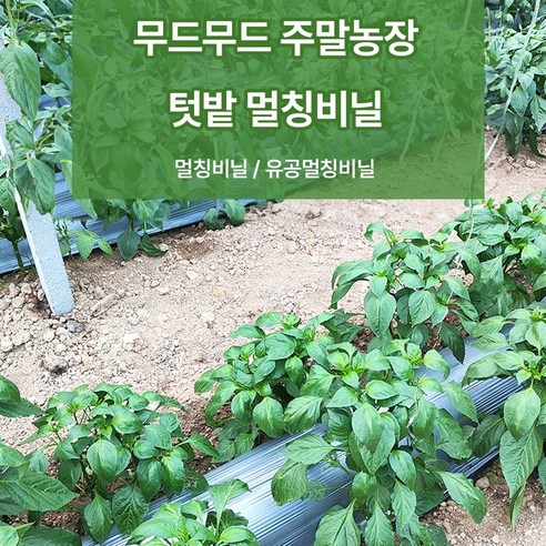 농사템 멀칭비닐 유공 주말농장 텃밭 10m, 멀칭유공, 중복(95cm), 1개