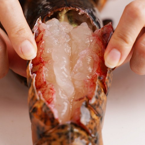 [골라담기] 활랍스터 500g~2.2kg 모음, 03_활랍스터 700g~780g