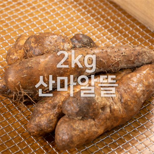 태산농장 안동 태산농장 산마 산약 참마, 1개, 5kg (l.산마알뜰)