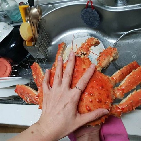 입에서 녹아드는 살아가는 활 킹크랩으로 최고의 맛과 가성비를 경험하세요.