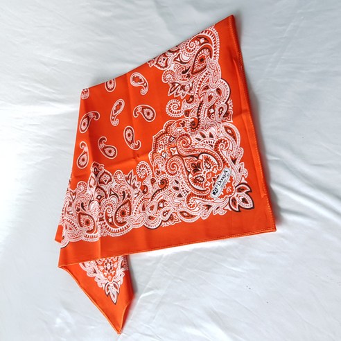 페이즐리 반다나로 모던한 스타일링