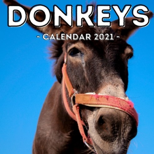 (영문도서) Donkeys Calendar 2021: 16-Month Calendar Cute Gift Idea For Donkey Lovers Women & Men Paperback, Independently Published