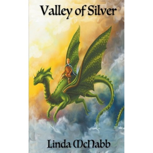 Valley of Silver Paperback, Southern Star Publishing, English, 9781393417934