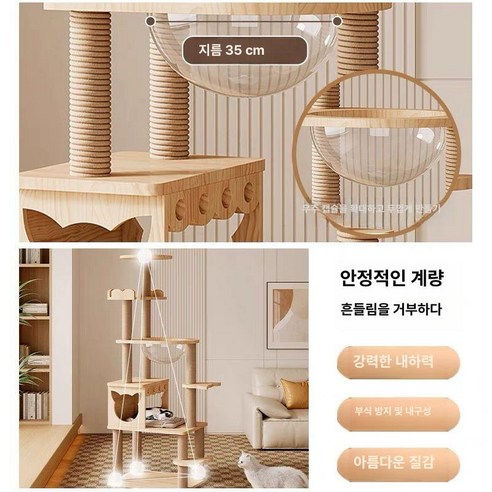 고양이를 위한 최상의 놀이 공간