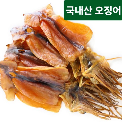 (5마리 특가판매) 쫄깃한 배오징어 각 중량별 5마리(무료배송)