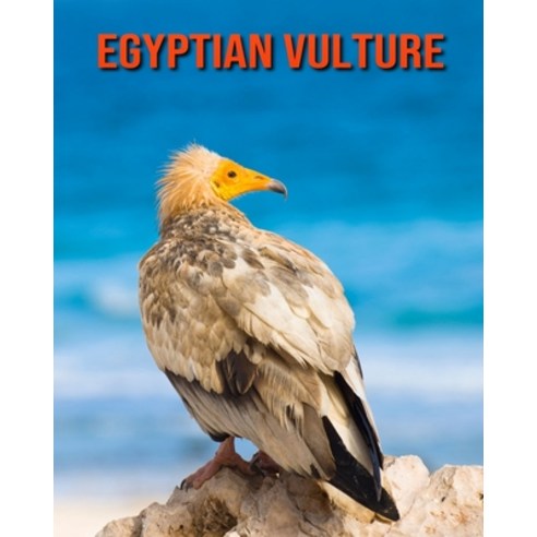 Egyptian Vulture: Amazing Facts about Egyptian Vulture Paperback, Independently Published, English, 9798550321430