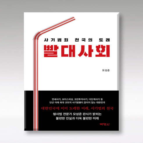 빨대사회, 박영사, 모성준