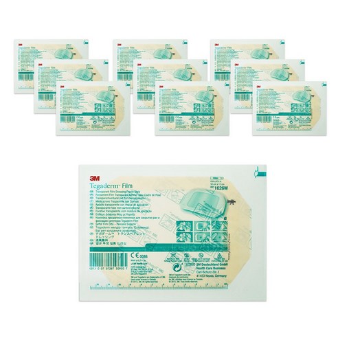 테가덤 10*12cm x 10매, 10개