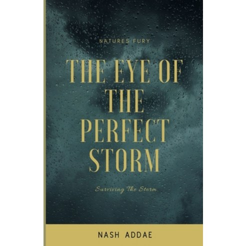 (영문도서) The Eye of The Perfect Storm: Survival Of The Fittest Paperback, Independently Published, English, 9798356453359