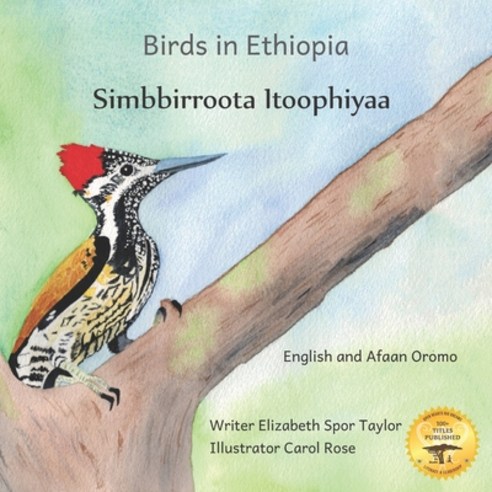 Birds in Ethiopia: The Fabulous Feathered Inhabitants of East Africa in Afaan Oromo and English Paperback, Independently Published, 9798576255245