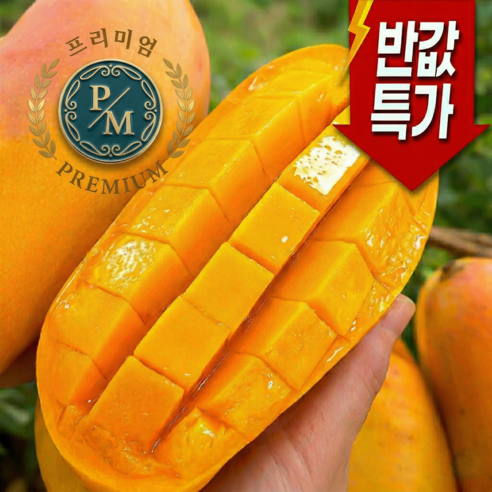 [백화점납품]프리미엄 딱100박스만 초고당도 마하차녹 골드망고