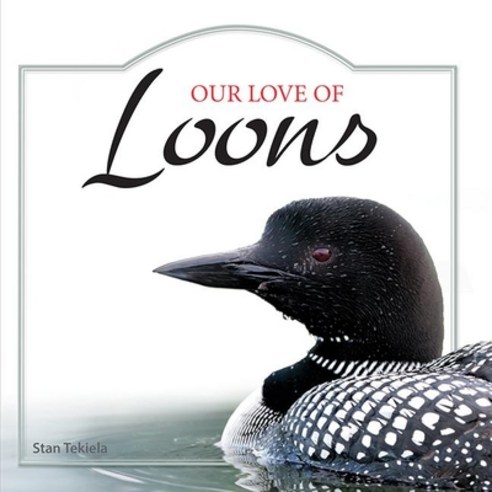 (영문도서) Our Love of Loons Hardcover, Adventure Publications, English, 9781591934950