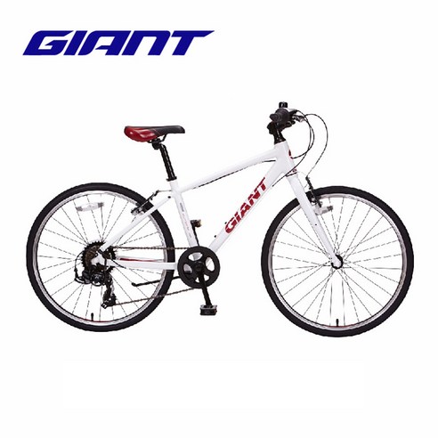 자전거 여행의 시작: 자이언트 Escape JR, 꿈을 향한 첫 페달을 밟다 자이언트이스케이프