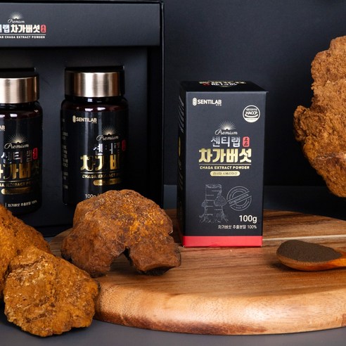 깊은 숲의 생명력, 센티랩 러시아산 차가버섯 추출 분말로 건강을 채우세요.