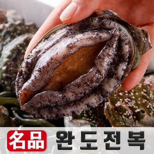 산소포장 완도 활 전복 양식장 산지직송