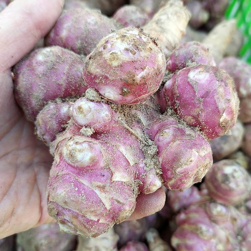 건강한 식탁을 위한 최고의 선택