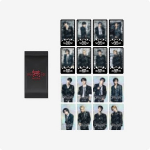 Stray Kids SPECIAL TRADING CARD - dominATE SEOUL 스트레이키즈 트레이닝카드