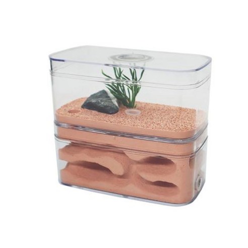 개미집 석고 개미 농장 집 먹이 주는 곳 곤충 상자 12610cm, 12x6x10cm, 1) 12x6x10cm