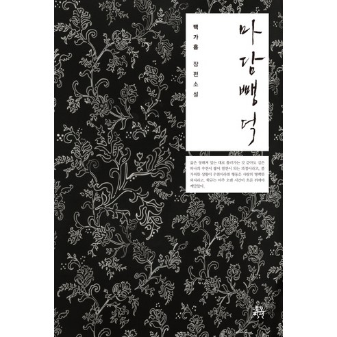 마담 뺑덕:백가흠 장편소설, 네오픽션