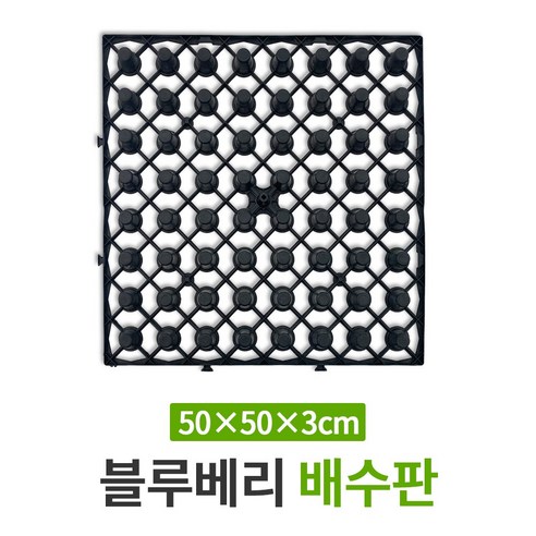 깨비화분 블루베리 배수판 리뷰 배수판