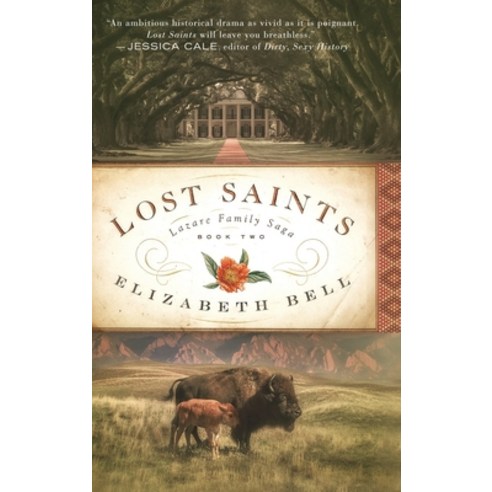 (영문도서) Lost Saints Hardcover, Claire-Voie Books, English, 9781737037422