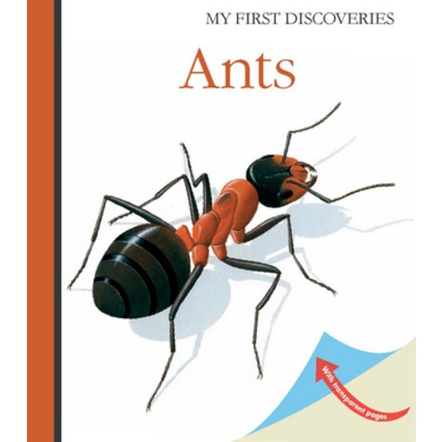 (영문도서) Ants Spiral, Moonlight Publishing, English, 9781851034321