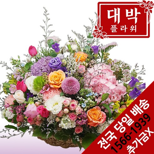 대박플라워 축하합니다 꽃바구니 생일선물 기념일 출산꽃선물 병문안 꽃배달