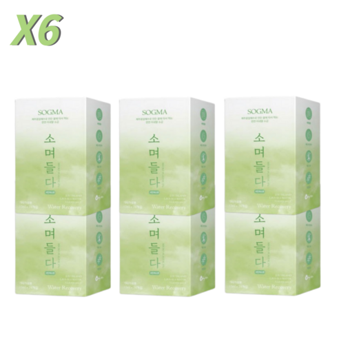 소그마 소며들다 샤인머스켓 물에 타먹는 휴대용 소금 세트, 288ml, 6박스