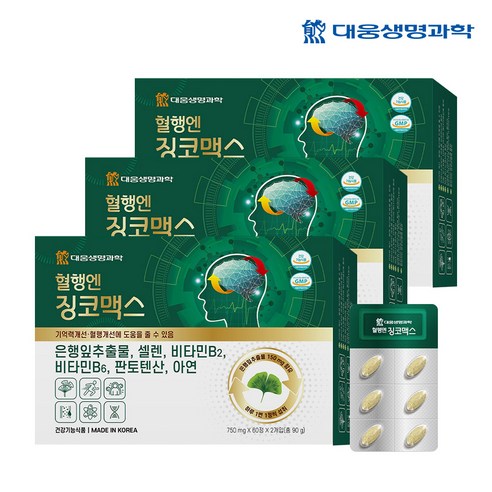 대웅생명과학 혈행엔 징코맥스 은행잎 추출물 혈행 기억력 개선에 도움을 줄수 있음, 120정, 3개