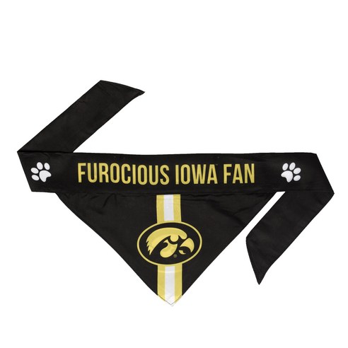도기네이션 타이 온 애견 반다나, Iowa Hawkeyes