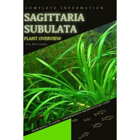 (영문도서) Sagittaria subulata: From Novice to Expert. Comprehensive Aquarium Plants Guide Paperback, Independently Published, English, 9798854499019