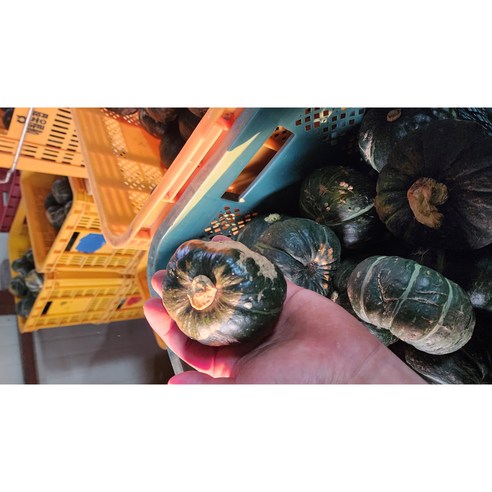 못난이 밤호박, 맛은 천재! 건강과 달콤함을 한번에!