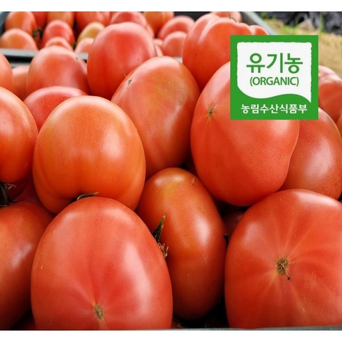 유기농 찰토마토 3kg, 5kg 구성, 완숙한 품질로 직배송 유기농토마토 유기농 찰토마토 3kg, 5kg 구성, 완숙한 품질로 직배송 유기농토마토