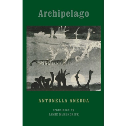 Archipelago Paperback, Bloodaxe Books, English, 9781780371085 - 가격 변동 ...